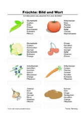 Fruechte-Bild und Wort-4.pdf